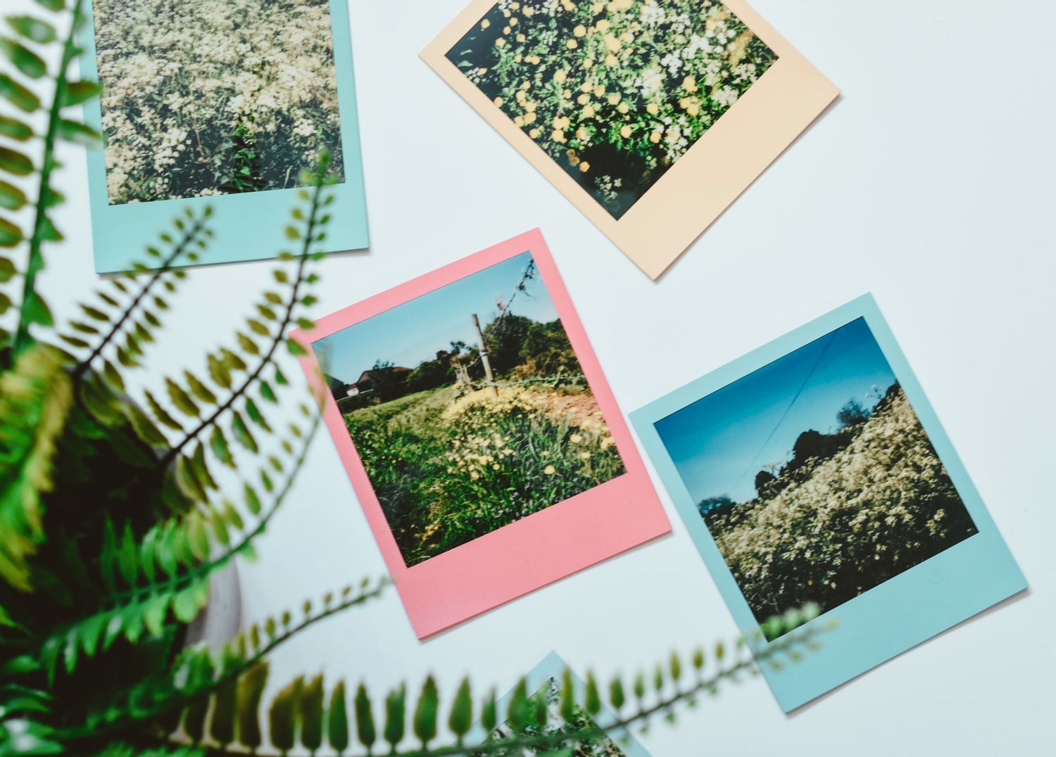 3 instant-camera-film-with-colored-borders