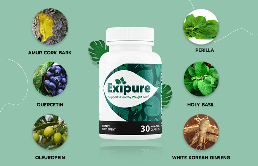 Exipure Ingredients